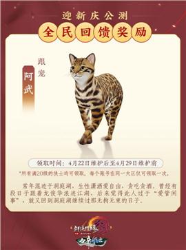 2017自制天龙八部私服